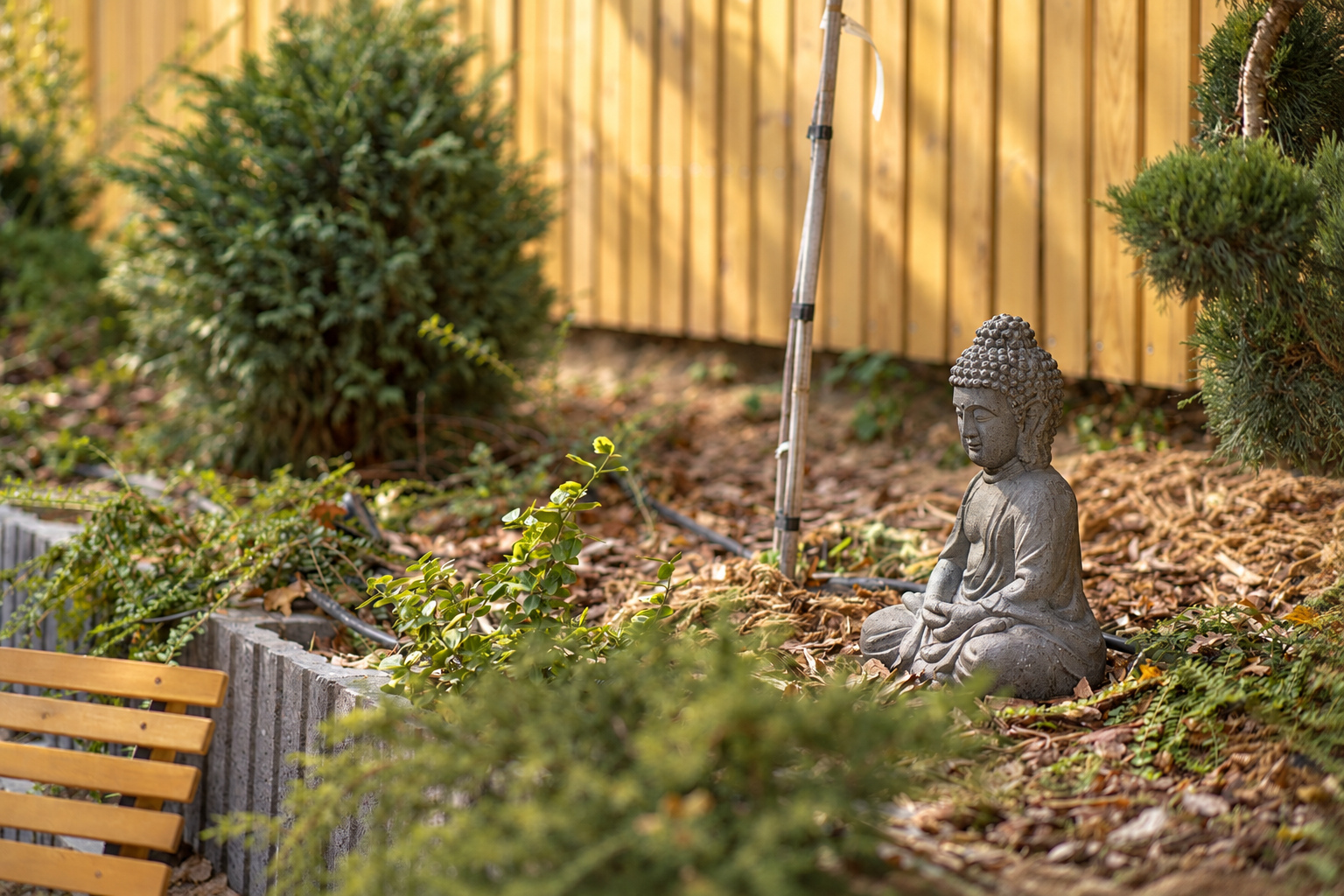 Buddha-szobor növények között.